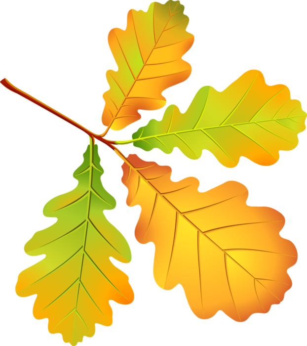 Картинки осенних листьев для детей: Картинки осенние листья для детей