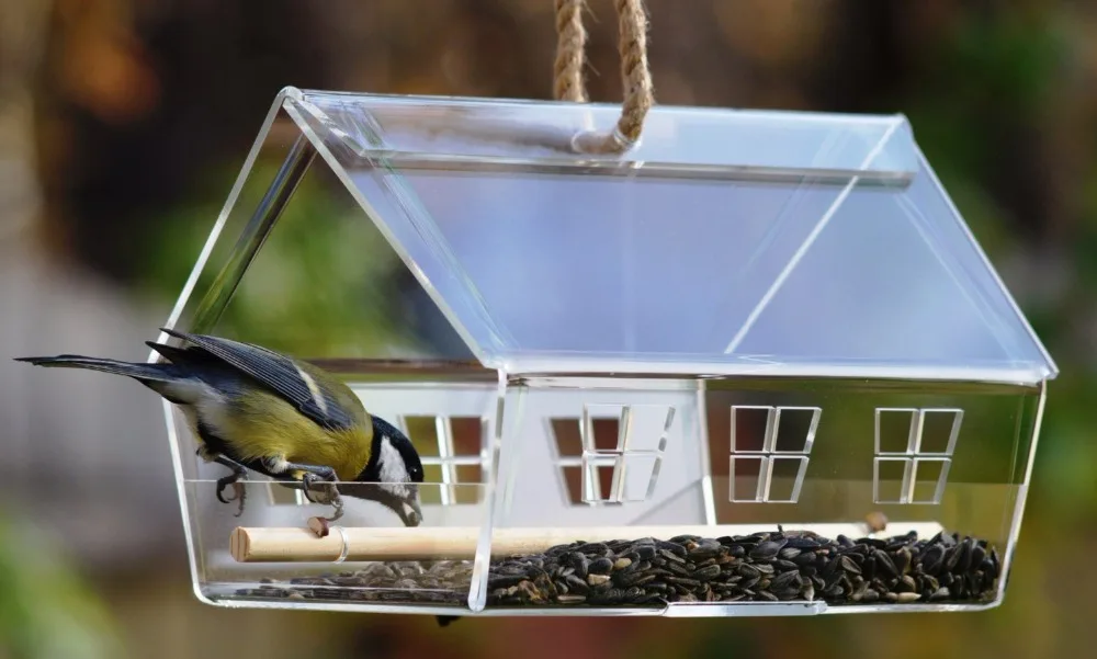 Делаем кормушку для птиц: 13 способов сделать кормушку для птиц своими руками