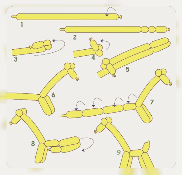Как завязать длинный шарик: Как завязать воздушный шарик: круглые и длинные