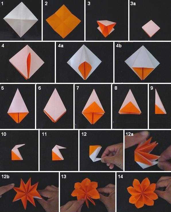 Схема из бумаги цветы: Цветы из бумаги - схемы и шаблоны для создания бумажных цветов