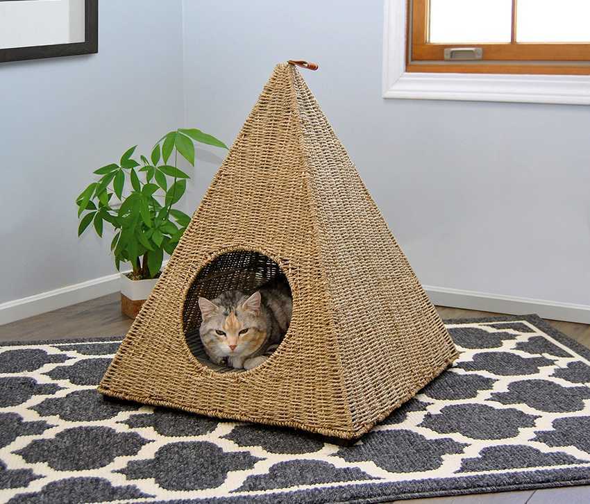 Кошки в домиках видео: Новый домик для кошки. Видели видео? Фрагмент выпуска от 10.07.2022
