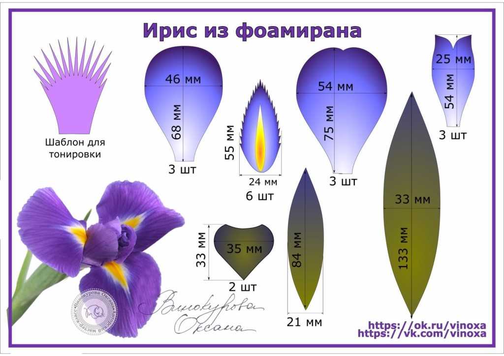 Ростовые цветы из фоамирана мастер класс с пошаговым фото: Цветы из фоамирана своими руками: мастер-классы для начинающих