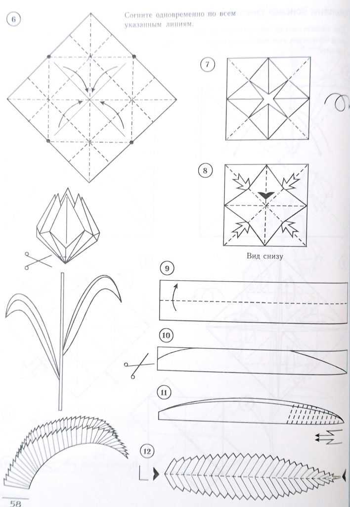 Цветы из бумаги своими руками схемы поэтапно: Цветы из бумаги своими руками: схемы и шаблоны