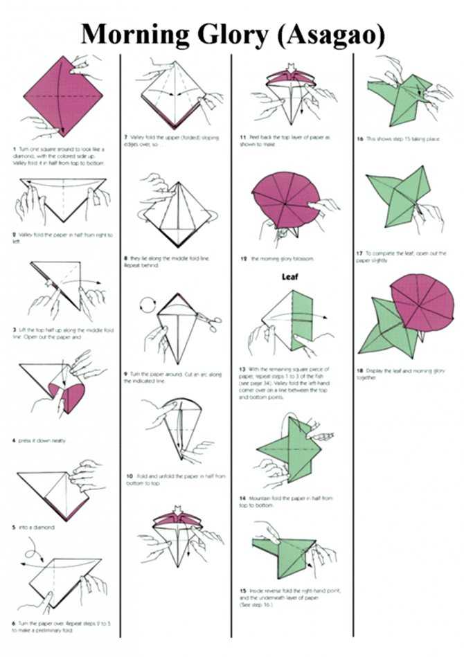 Цветы из бумаги своими руками схемы поэтапно: Цветы из бумаги своими руками: схемы и шаблоны