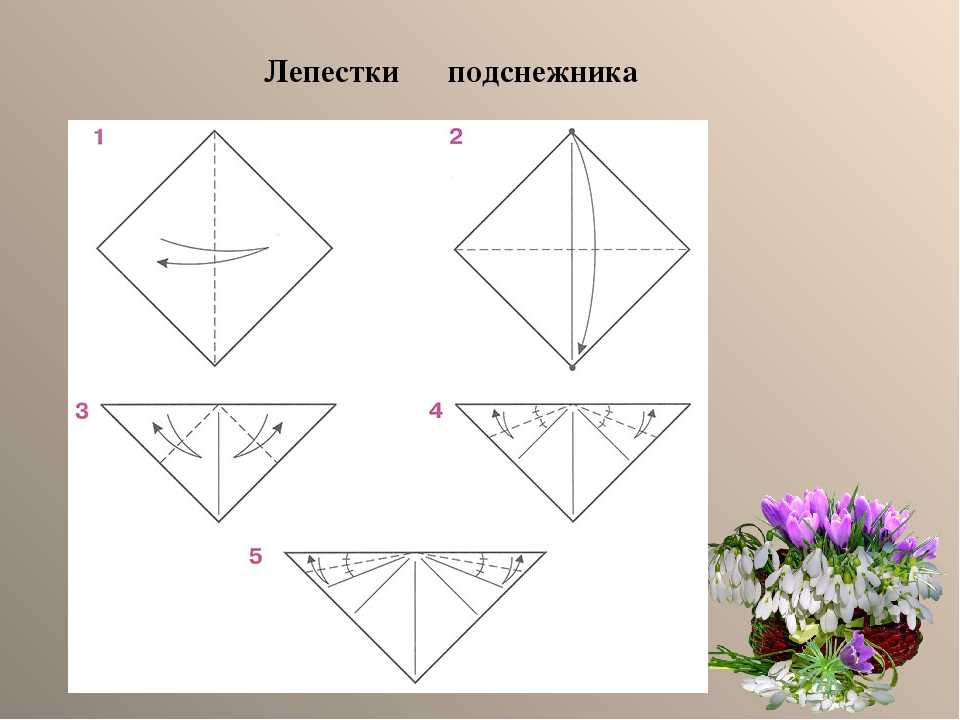 Цветы из бумаги своими руками схемы поэтапно: Цветы из бумаги своими руками: схемы и шаблоны