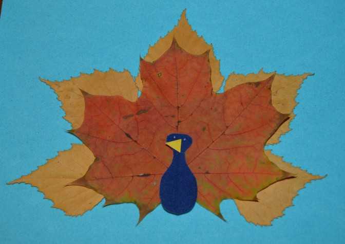 Павлин из сухих листьев: аппликация павлина из осенних листьев