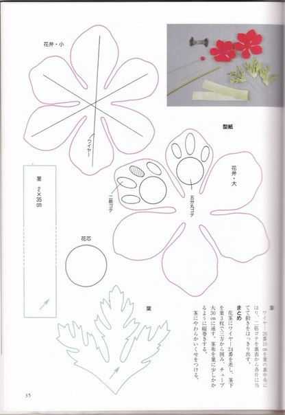 Цветы из фоамирана своими руками схемы шаблоны: Цветы из фоамирана своими руками: мастер-классы для начинающих