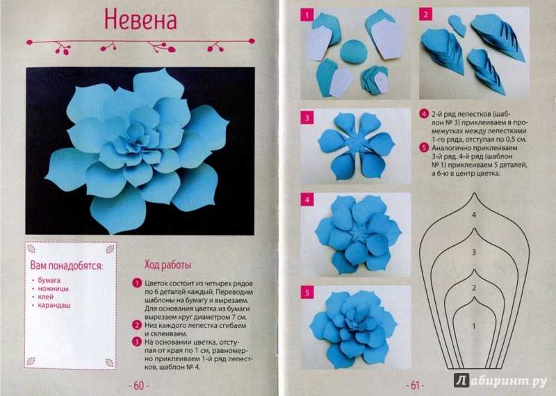 Схема из бумаги цветы: Цветы из бумаги - схемы и шаблоны для создания бумажных цветов