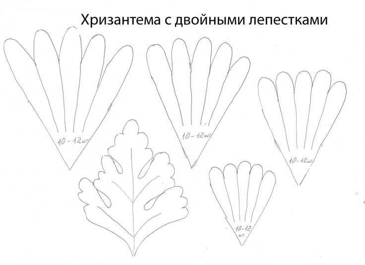 Цветы из фоамирана мастер класс с пошаговым фото шаблоны для начинающих: Цветы из фоамирана своими руками: мастер-классы для начинающих