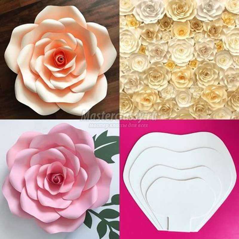 Цветы большие из бумаги видео: Цветы из бумаги. Большие цветы.DIY Giant Paper Flower