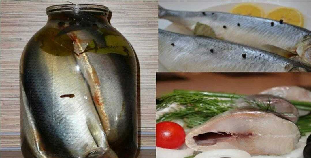 Как засолить рыбу в домашних условиях вкусно: Как засолить рыбу в домашних условиях