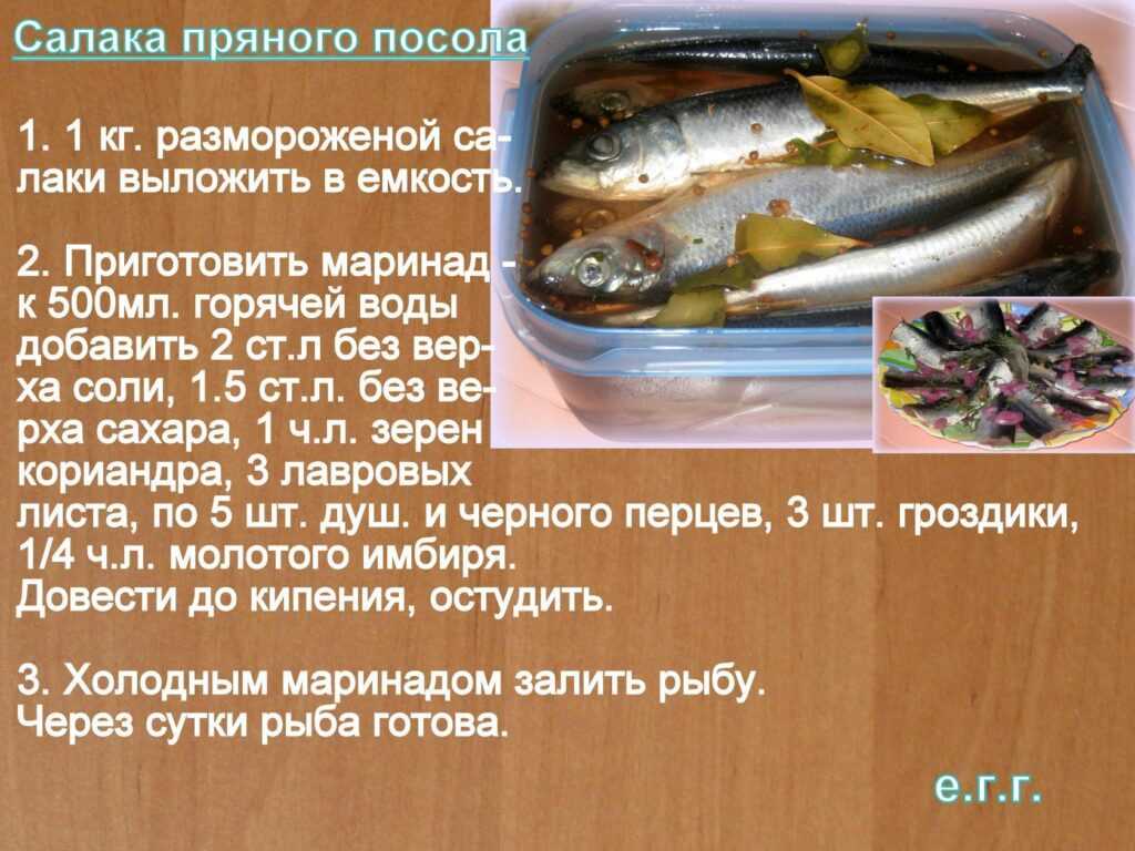 Как засолить рыбу в домашних условиях вкусно: Как засолить рыбу в домашних условиях