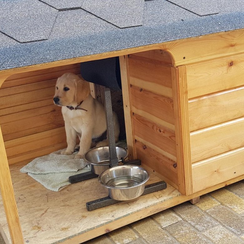 Будка для собаки теплая: Утепленная будка для собаки с подогревом купить в Москве