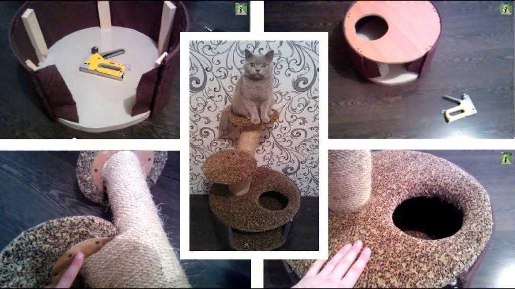 Как сделать для кошки домик в домашних условиях: своими руками, пошаговая инструкция, игровой комплекс в домашних условиях, из картона, когтеточка, примеры на фото
