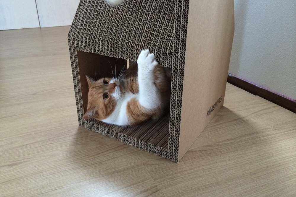 Как сделать домик для кошки своими руками видео из коробки: Как построить домик для кошки из коробки: делаем своими руками- Как сделать - инструкция поэтапно- чертежи и размеры