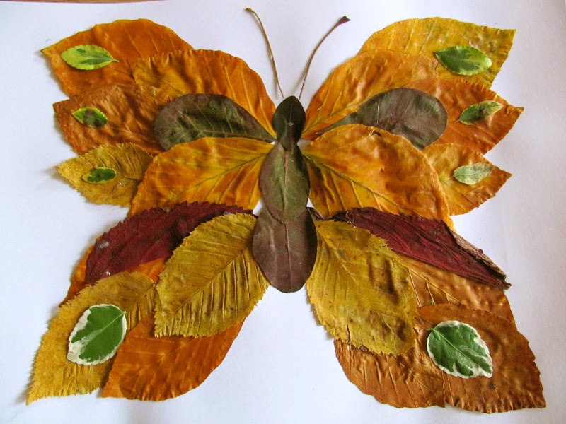 Аппликация из листьев бабочки: как сделать бабочку из осенних листьев, шишек и сухих листьев, из каштанов и клена, картинка-композиция своими руками – шаблоны для поделки из листьев деревьев