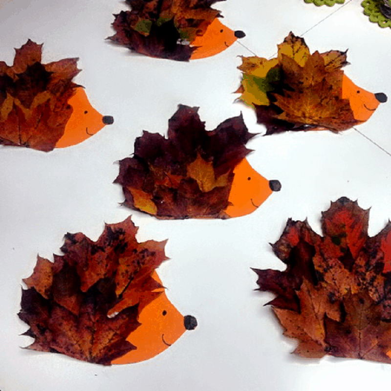 Ежик из листьев осенних: осенние аппликации на бумаге. Как сделать ежа своими руками из кленовых листочков? Объемная поделка из листиков ивы