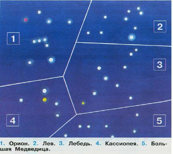 Созвездие на картоне из пластилина: модель Большой медведицы на картоне для 2 класса. Как сделать поделку в виде созвездия Ориона? Макет Тельца, Льва и Лебедя