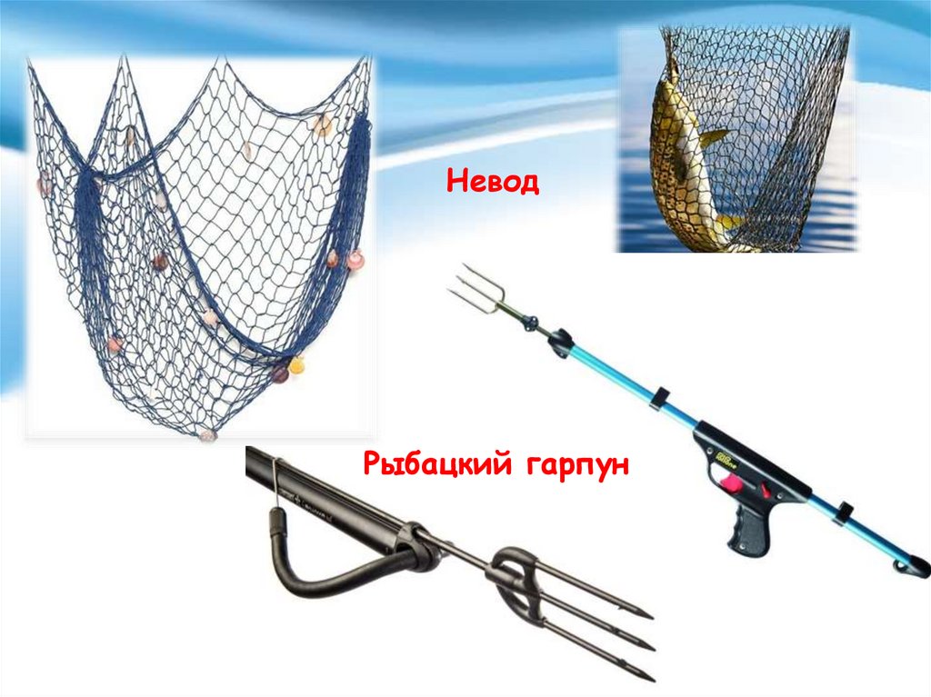 Рыболовные снасти какие бывают: Недопустимое название — FishingWiki