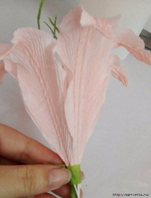 Как сделать лилию из бумаги из гофрированной бумаги: Как сделать лилию из гофрированной бумаги своими руками: пошаговое создание букета с цветами лилиями