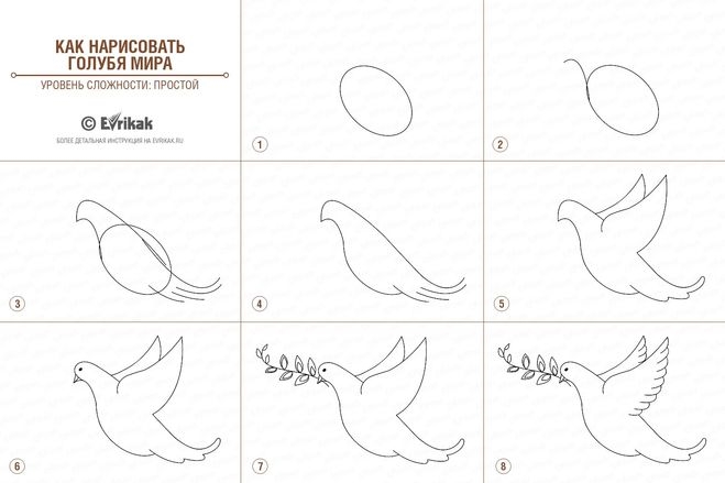 Рисунки голубя мира: Голубь мира в рисунках для детей. Легкие срисовки.