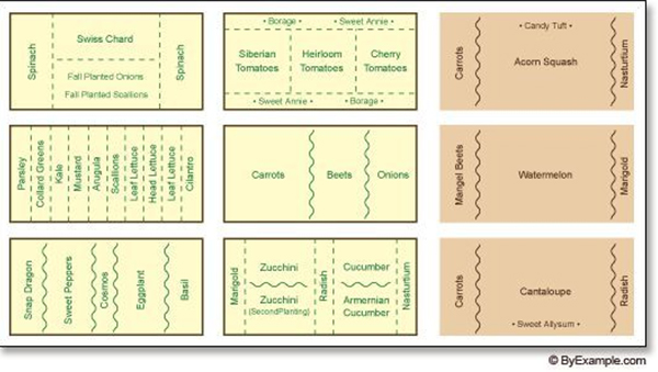 Year-round vegetable garden layout