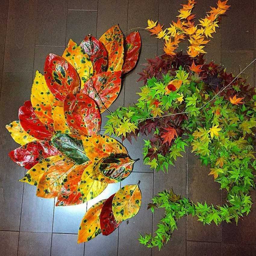 Поделки из кленовых сухих листьев: Поделки из листьев своими руками: 51 фото красивых поделок из сухих осенних листьев