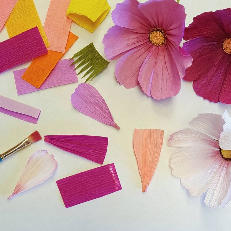 Мелкоцвет из гофрированной бумаги: Пин на доске crepe paper flowers