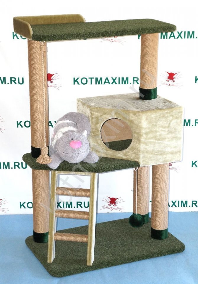 Кошачьи домики с когтеточкой своими руками: как выбрать? Кошачий высокий дом с когтеточкой своими руками, чертежи и размеры