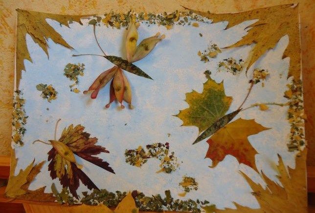Гербарий из кленовых листьев своими руками фото: Гербарий из осенних листьев - 65 фото