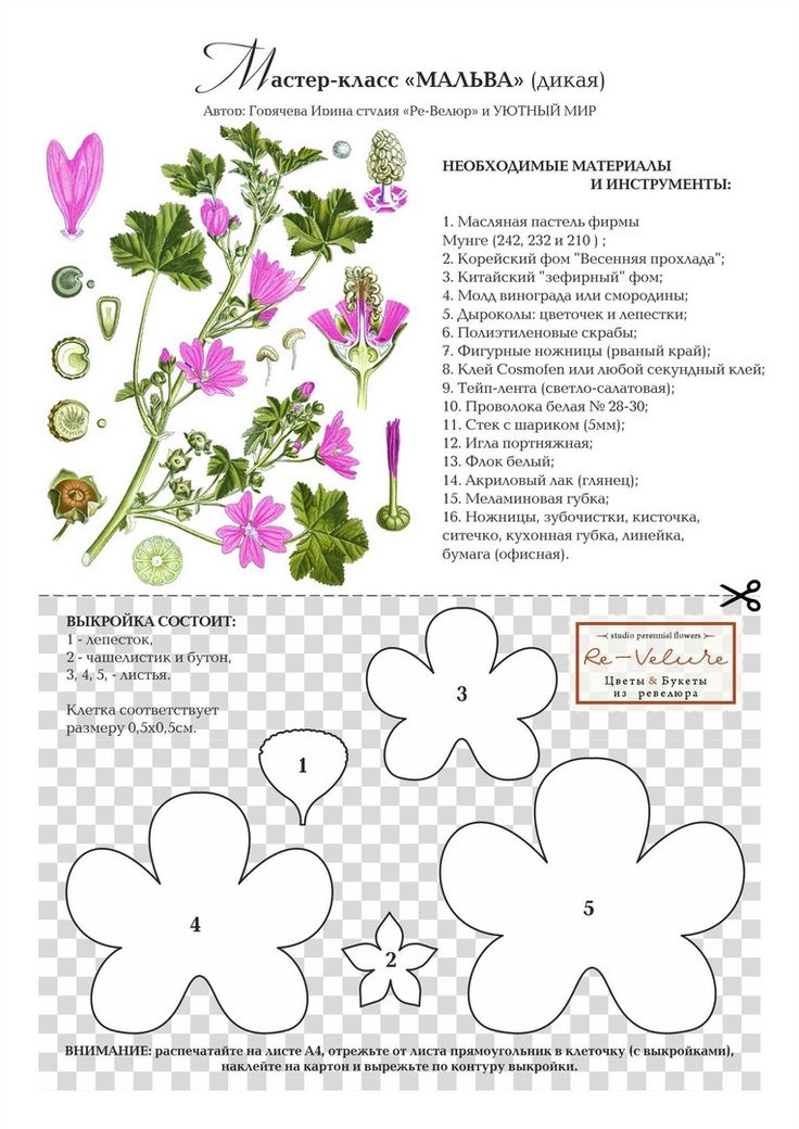 Схемы цветов из фоамирана: Цветы из фоамирана своими руками: мастер-классы для начинающих