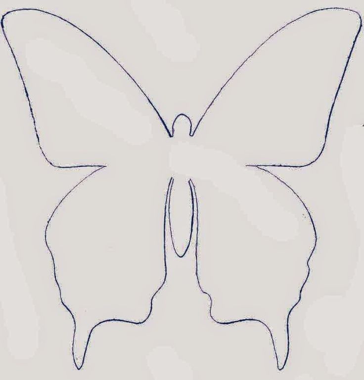 Объемные бабочки из бумаги шаблоны для вырезания: Шаблоны и контуры бабочек на стену для вырезания из бумаги: скачать и…