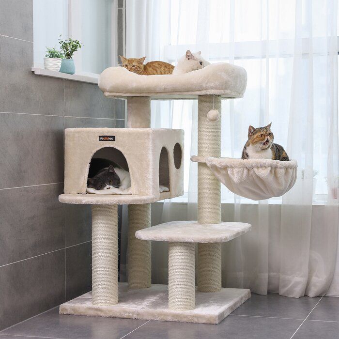 Домики для кошек видео: Домик для кошки из коробки