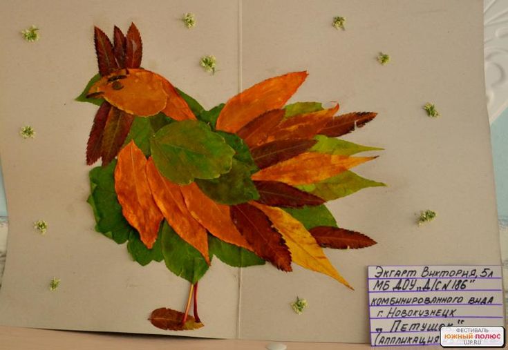 Павлин из листьев поделка: поделки из осенних листьев своими руками на бумаге. Как сделать аппликацию на тему «Осень» с павлиньим хвостом из семян крылатки?