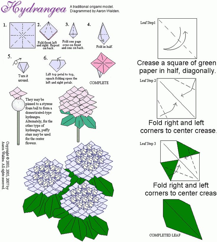 Цветы из бумаги своими руками схемы поэтапно: Цветы из бумаги своими руками: схемы и шаблоны