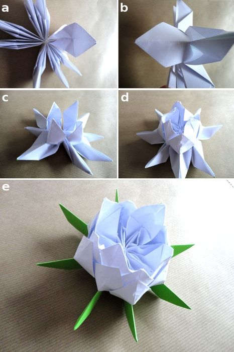 Оригами из лотос: Лотос | Оригами