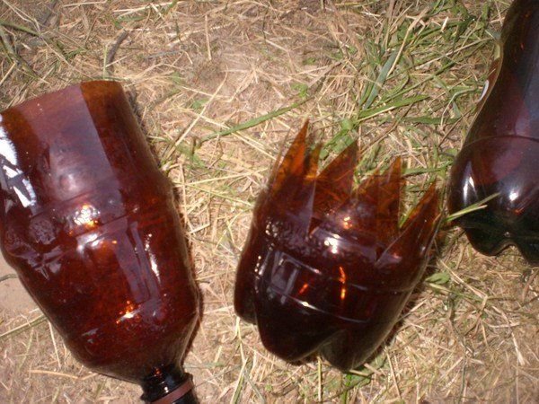 Пальмы из бутылок своими руками пошагово: Пальма из пластиковых бутылок своими руками пошагово для начинающих