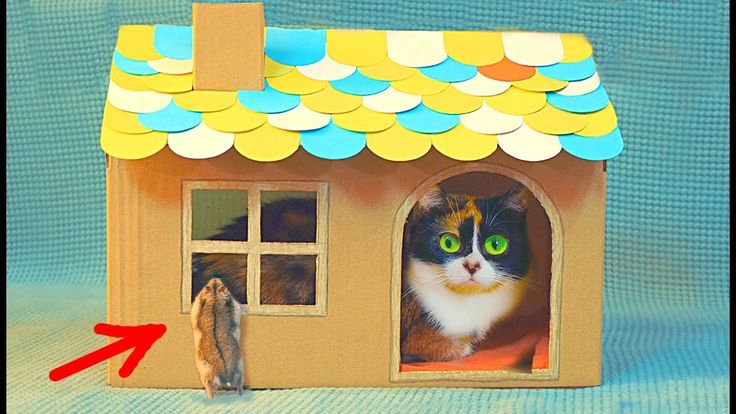 Как сделать дом для кота из бумаги: Дом для кота своими руками (фото)