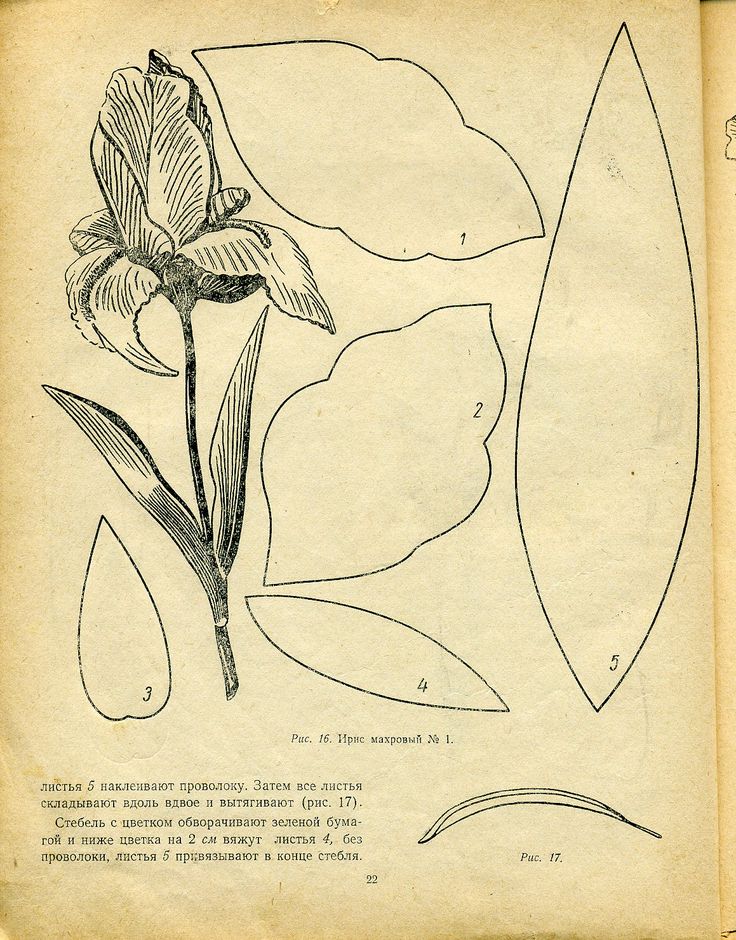Лекала цветов из ткани: Лекала выкройки цветов из ткани и фоамирана.