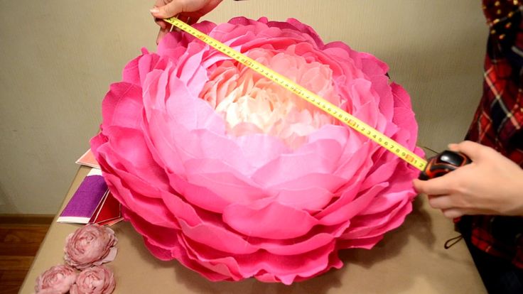 Цветы большие из бумаги видео: Цветы из бумаги. Большие цветы.DIY Giant Paper Flower