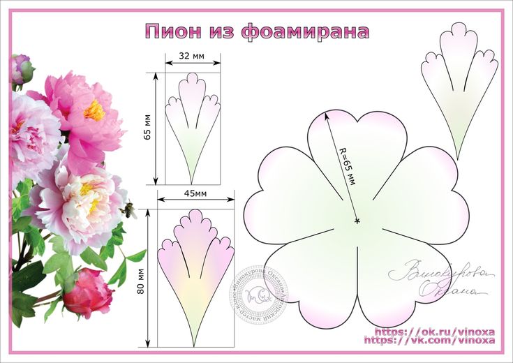 Схемы цветы из гофрированной бумаги своими руками: Цветы из гофрированной бумаги ТОП 800 фото, схем и шаблонов