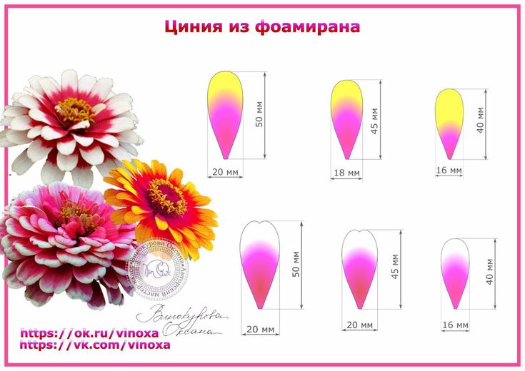 Как сделать лепесток из бумаги: 22 идеи с фото, шаблоны и схемы