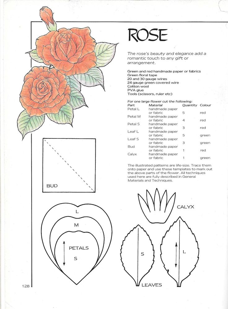 Схемы цветы из гофрированной бумаги своими руками: Цветы из гофрированной бумаги ТОП 800 фото, схем и шаблонов
