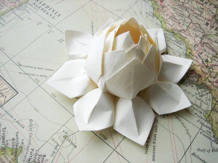 Оригами из лотос: Лотос | Оригами