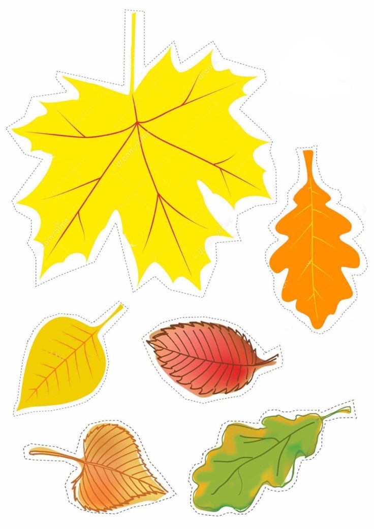 Аппликация из цветной бумаги с шаблонами на тему осень: Аппликация осень, шаблоны из бумаги для детей скачать, распечатать