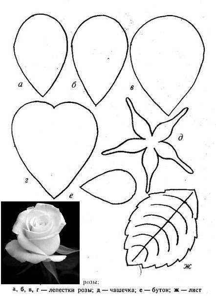 Шаблон лепестков роз: шаблон лепестков розы для изолона - Поиск в Google