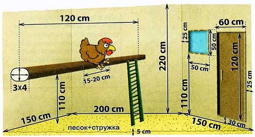 Как построить курятник своими руками на 50 кур: Курятники на 50 кур + фото