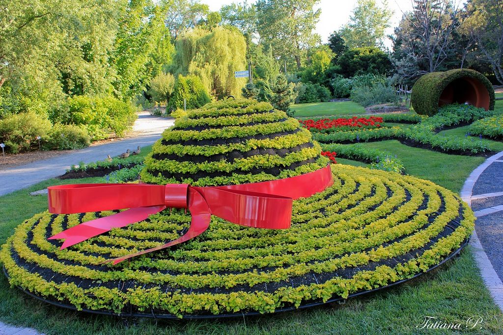 Картинки клумба: 20 самых красивых весенних клумб