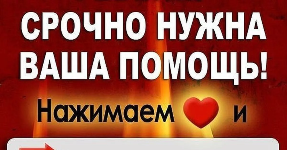 Картинки открыт сбор: Картинки закупка в понедельник (45 фото) » Юмор, позитив и много смешных картинок