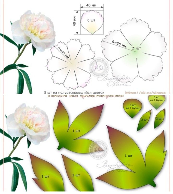 Цветы из фоамирана своими руками с пошаговым фото для начинающих шаблоны: Цветы из фоамирана своими руками: мастер-классы для начинающих